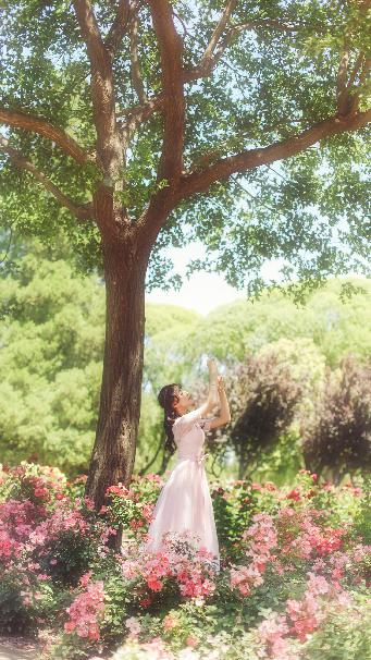 青青草视频在线观看