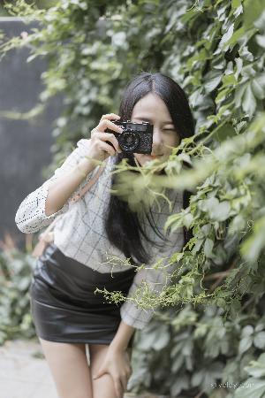 正阳门下电视剧全集免费观看